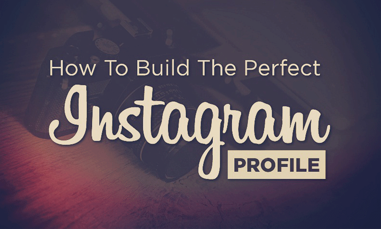 Optimize Your Instagram Profile for a Better Visibility