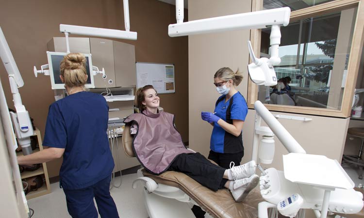 6 Ways To Ensure That Your Dental Facility Runs Effortlessly for a Successful Career as a Dentist