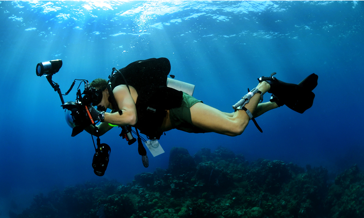 Survive and Enjoy Scuba Diving in Andaman by taking these Precautions