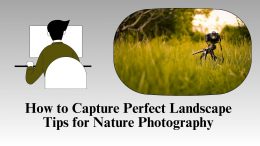 How to Capture Perfect Landscape Tips for Nature Photography